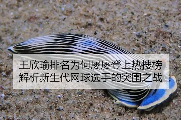 王欣瑜排名为何屡屡登上热搜榜 解析新生代网球选手的突围之战